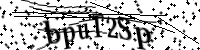 Bitte geben Sie die Buchstaben unten ein.