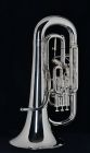 Walton Professional  Euphonium