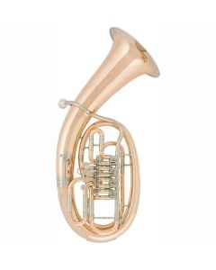 Lidl Bariton GM Lack mit Gigbag LEP731-4R