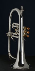 Walton Professional Flügelhorn